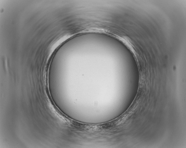 X0000087021003200704301309