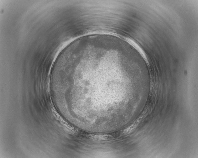 X0000087021004200704301309