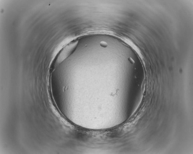 X0000087021005200704301309