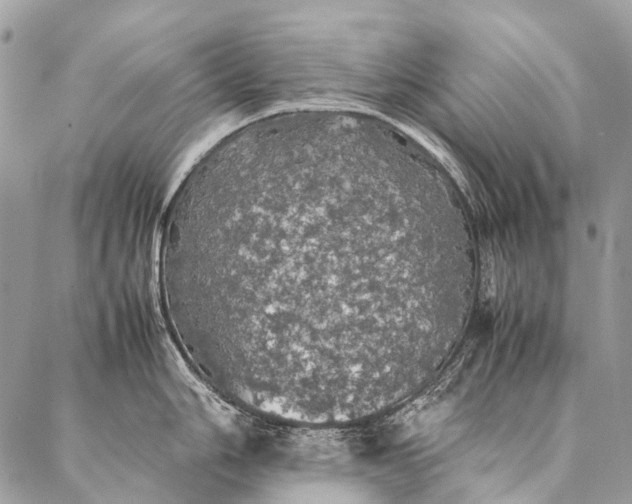 X0000087021006200704301309