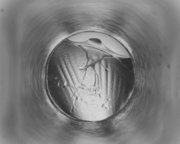 X0000087021007200704301309