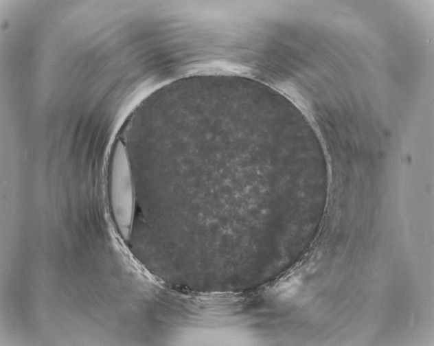 X0000087021008200704301309