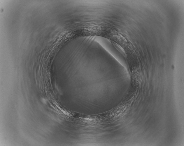 X0000087021009200704301309