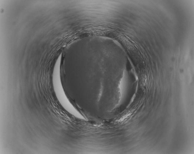 X0000087021010200704301309