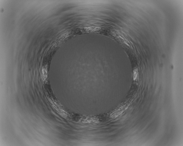 X0000087021011200704301309