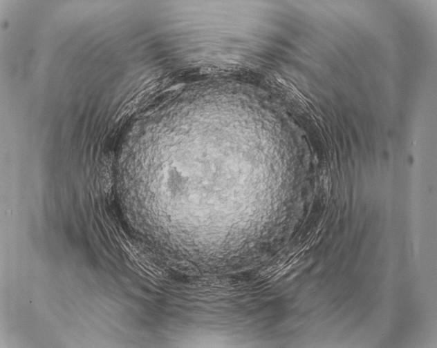 X0000087021012200704301309