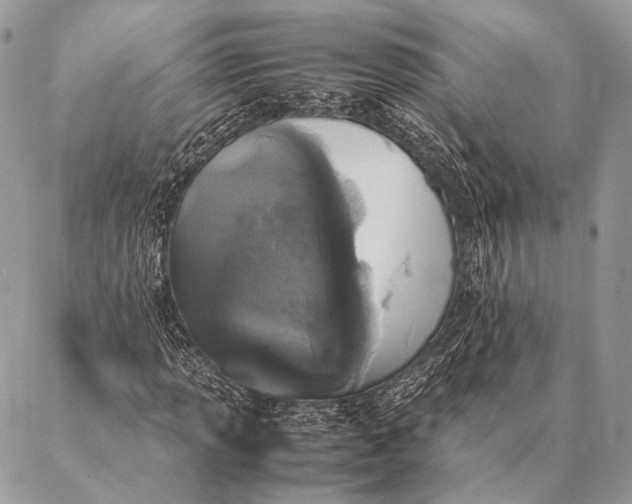 X0000087021013200704301309