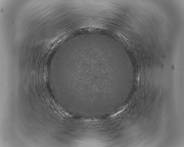 X0000087021014200704301309