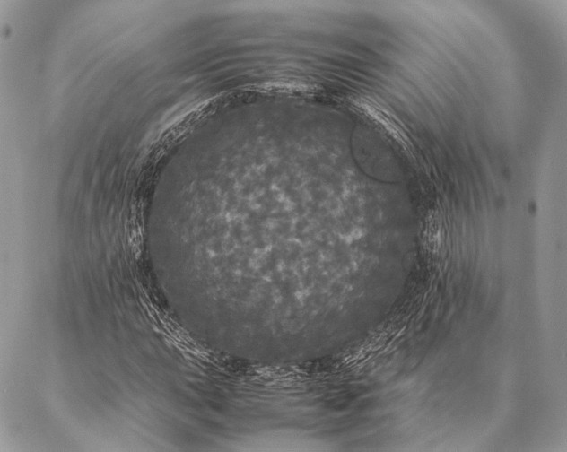 X0000087021015200704301309