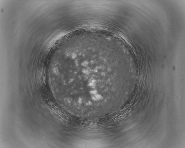 X0000087021016200704301309