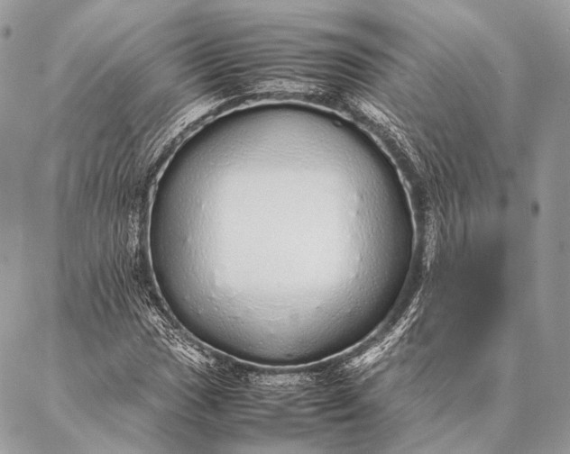 X0000087021017200704301309