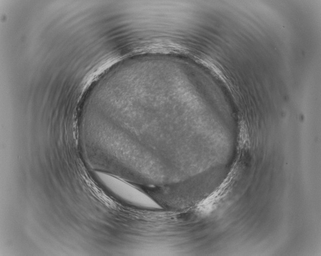 X0000087021018200704301309