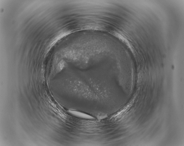 X0000087021019200704301309