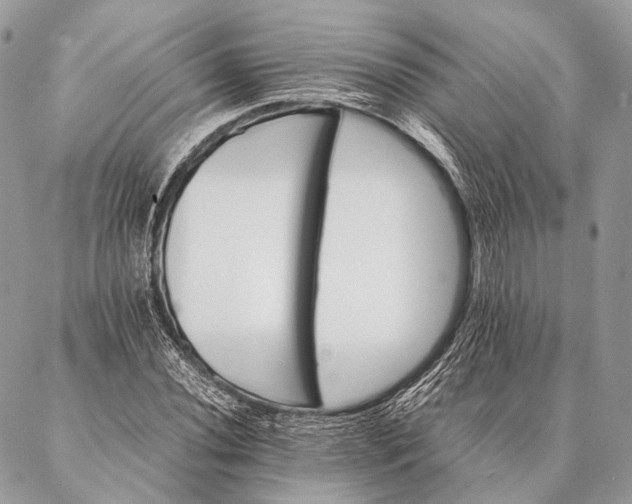 X0000087021020200704301309