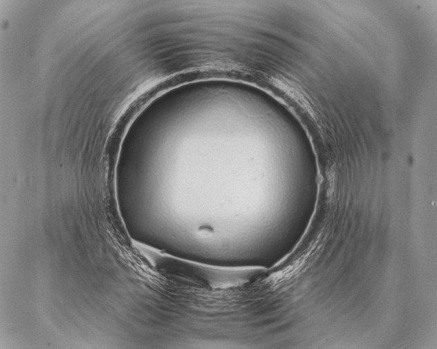 X0000087021021200704301309