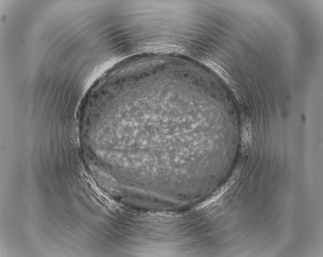 X0000087021022200704301309