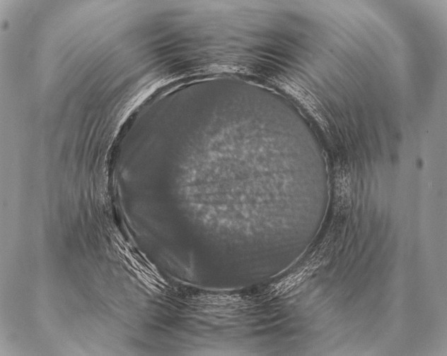 X0000087021023200704301309