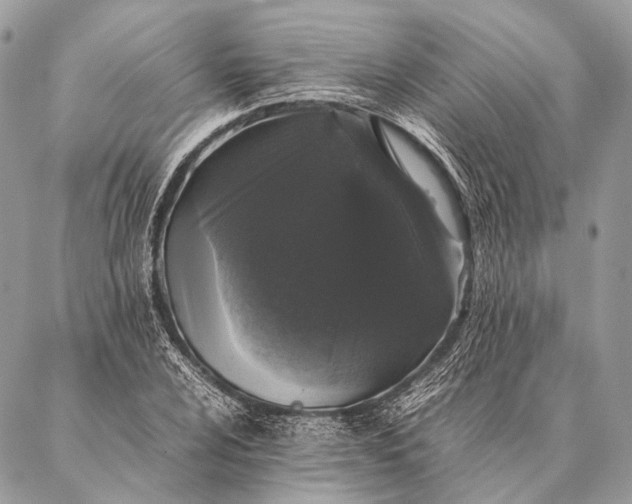 X0000087021024200704301309