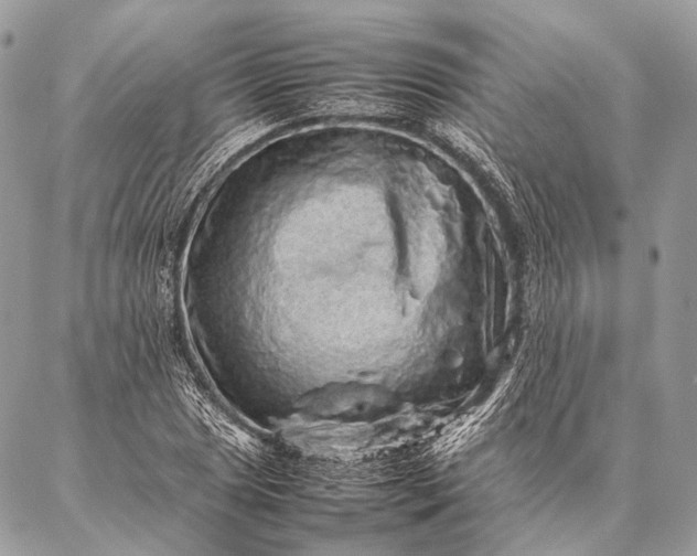 X0000087021025200704301309