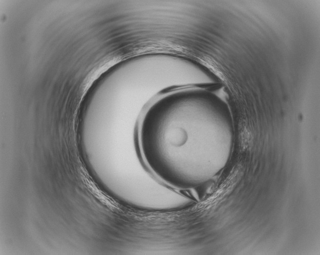 X0000087021026200704301309