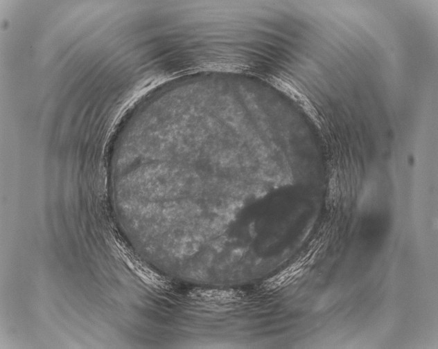 X0000087021027200704301309