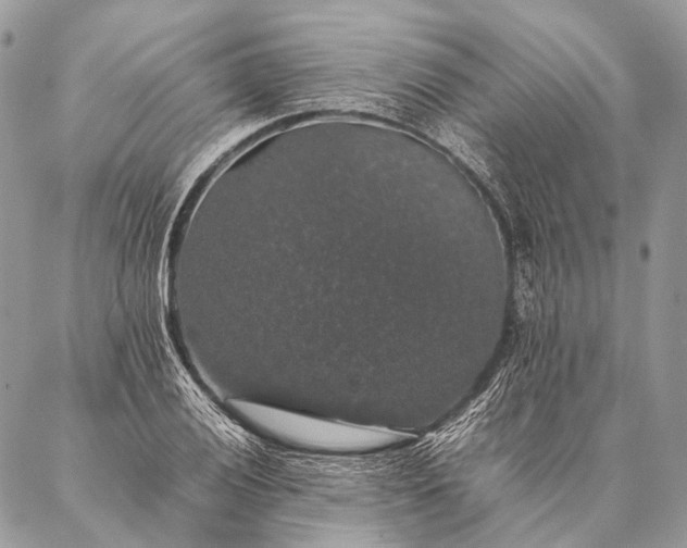 X0000087021028200704301309