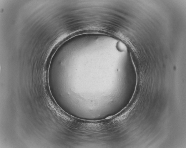 X0000087021029200704301309