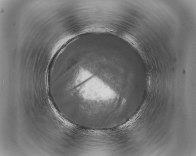 X0000087021030200704301309