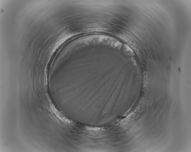 X0000087021031200704301309