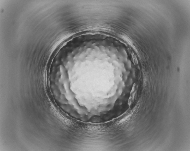 X0000087021032200704301309