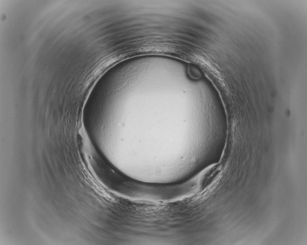 X0000087021033200704301309