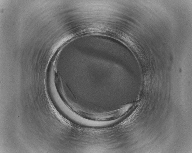 X0000087021034200704301309