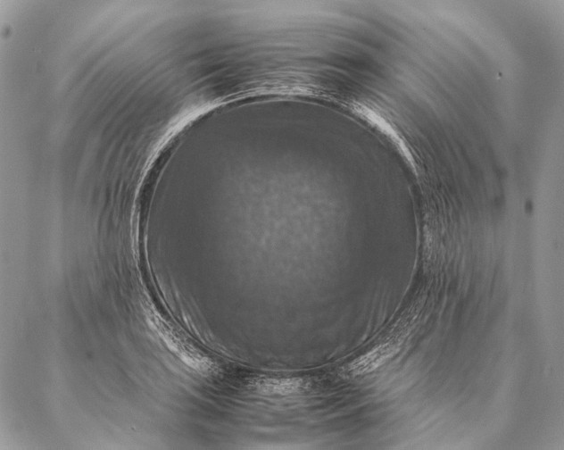 X0000087021035200704301309