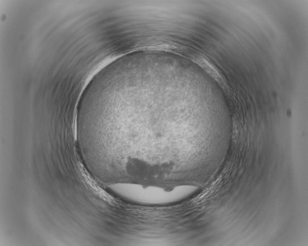 X0000087021036200704301309