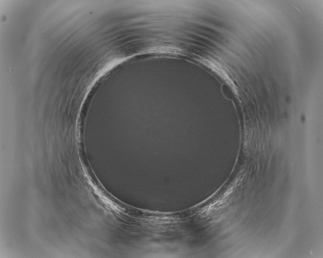 X0000087021037200704301309