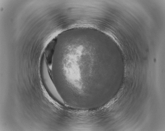 X0000087021038200704301309