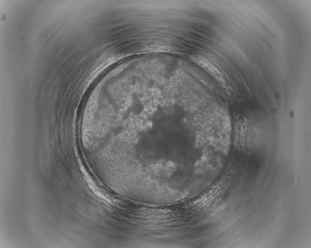 X0000087021039200704301309