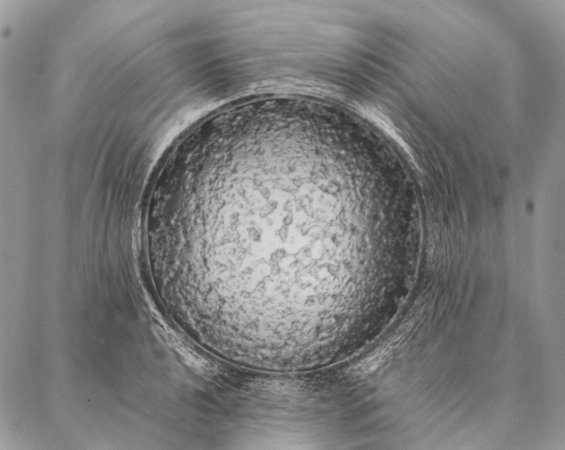 X0000087021040200704301309