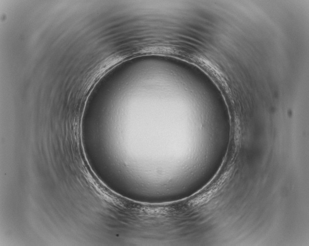 X0000087021041200704301309