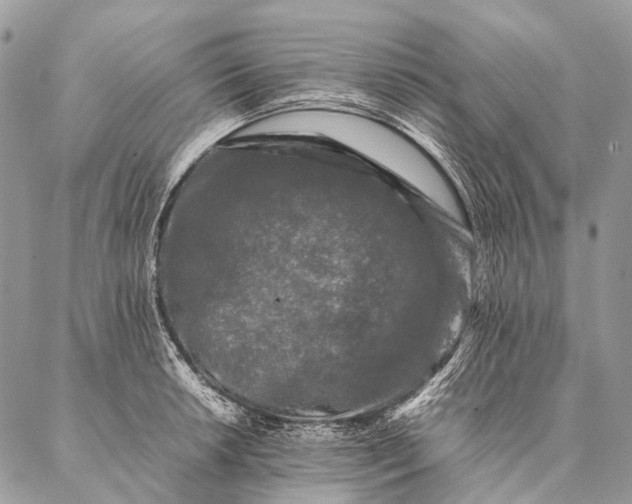 X0000087021042200704301309