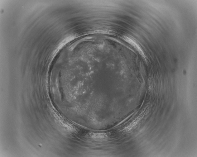 X0000087021043200704301309