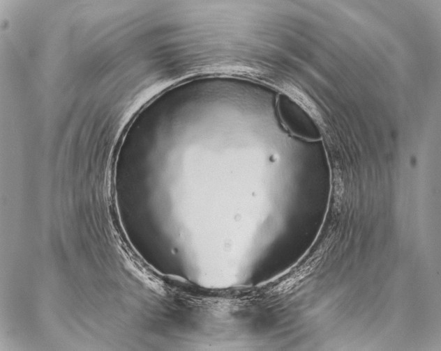 X0000087021044200704301309