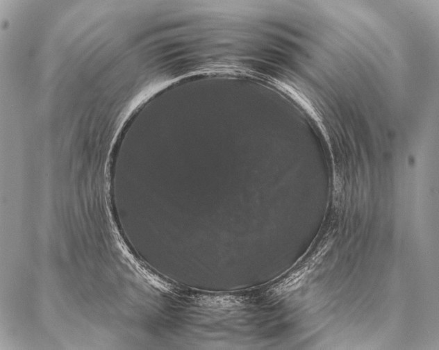 X0000087021045200704301309