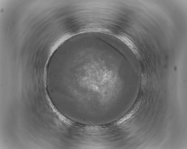 X0000087021046200704301309