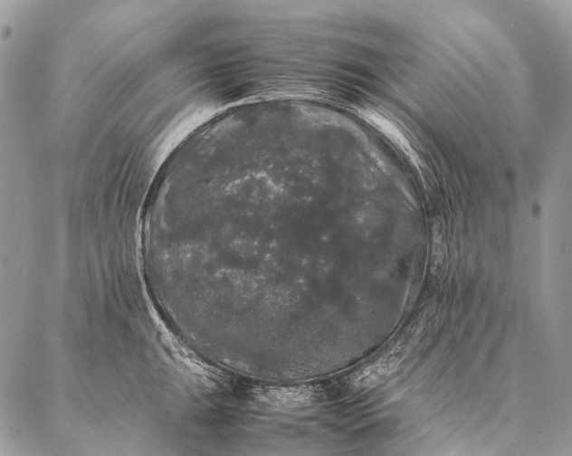 X0000087021047200704301309