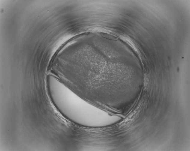 X0000087021048200704301309