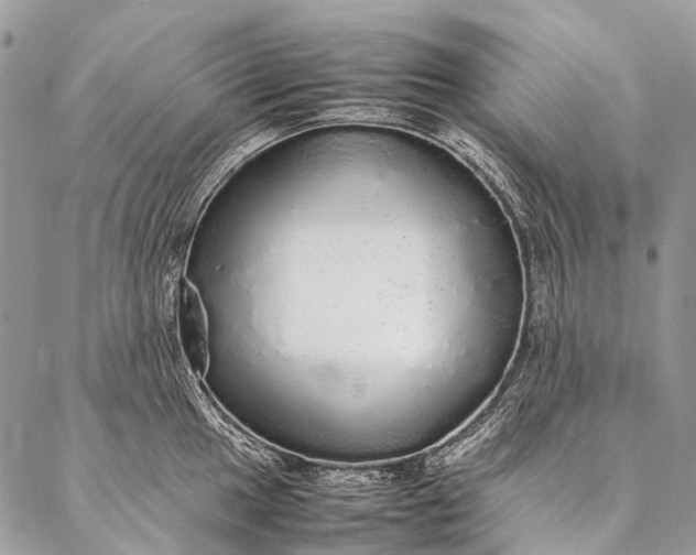 X0000087021049200704301309