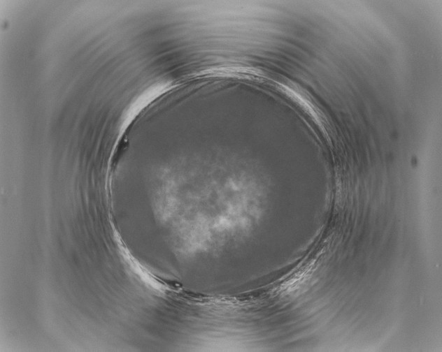 X0000087021050200704301309