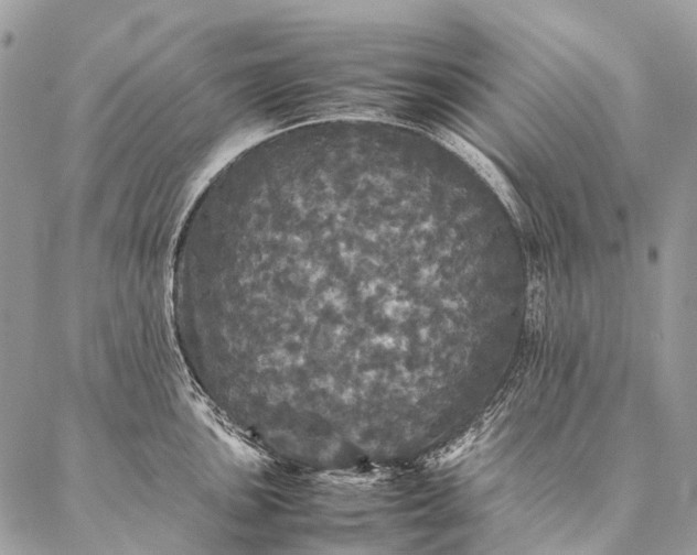 X0000087021051200704301309