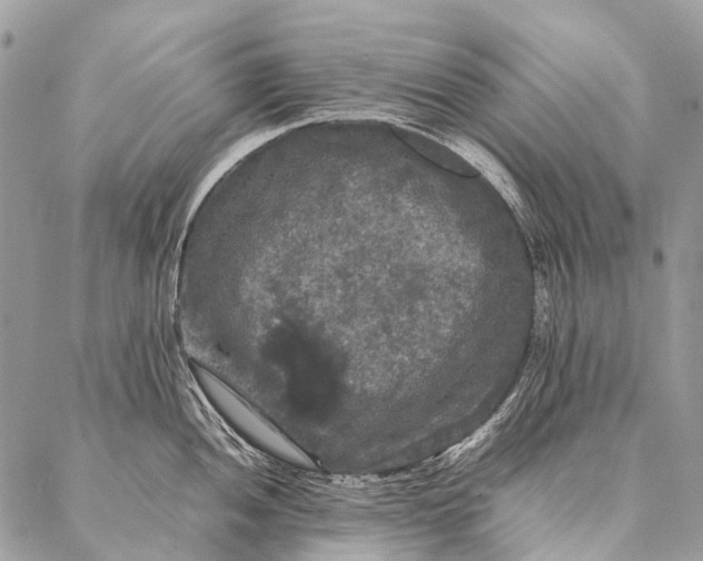 X0000087021052200704301309